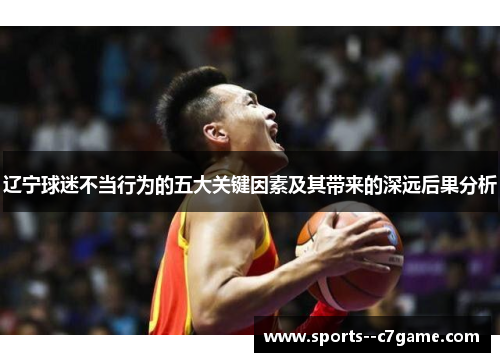 辽宁球迷不当行为的五大关键因素及其带来的深远后果分析